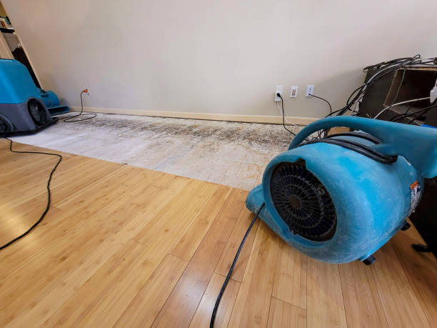 Professional Water Removal technician working in Stockbridge, GA